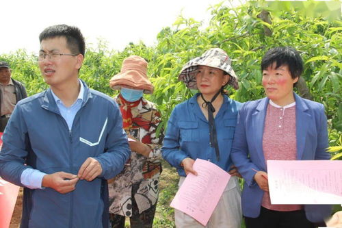 巾幗學黨史辦實事，志愿服務直通車助力鄉村振興齊魯行——聚焦開發區站的數據處理與存儲服務